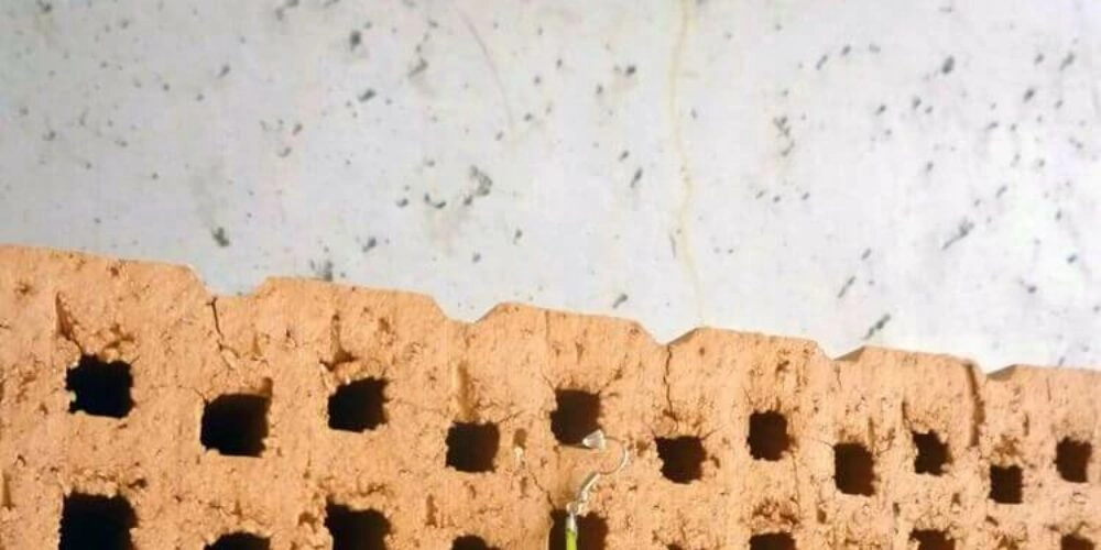 Ďeň s našimi Čerešniarmi