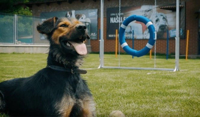 Revitalizácia agility parku s projektom Čerešne living