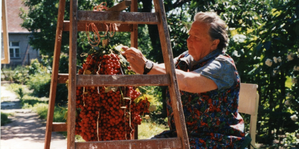 Čerešne majú v Dúbravke dlhú históriu