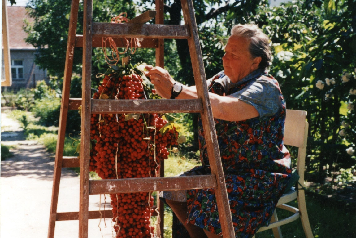 Čerešne majú v Dúbravke dlhú históriu